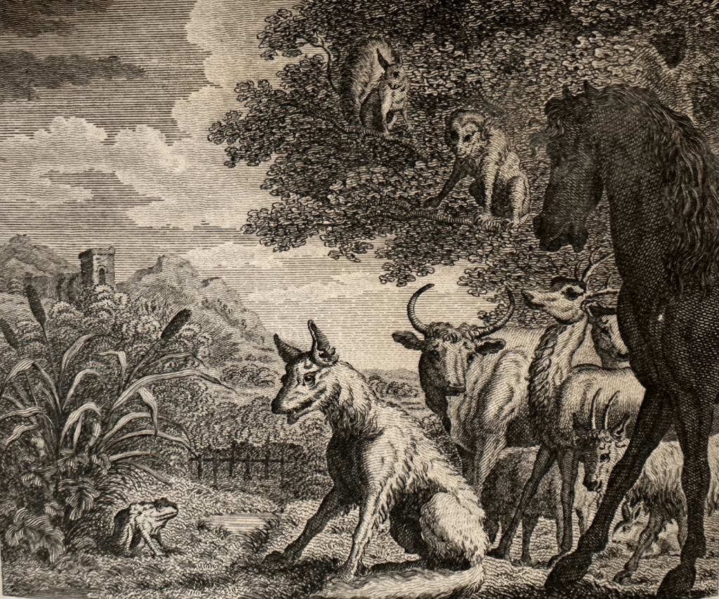 Francis Barlow, “The Fox and the Frog,” The Fables of Aesop, London: Stockdale, 1793. (Photo: The author)