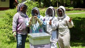 A beekeeping workshop. Photo credit: Serenity Urban Wellness