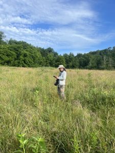 MRBO co-founder Ethan Duke counts birds in the field. Photo courtesy of Dana Ripper