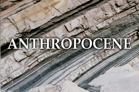 anthropocene