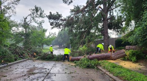 a2-times_city-workers-remove-downed-trees_texas-derecho-2024_1