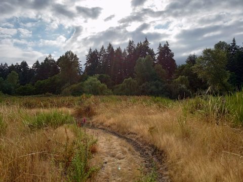 img_20220810_175819804_hdr