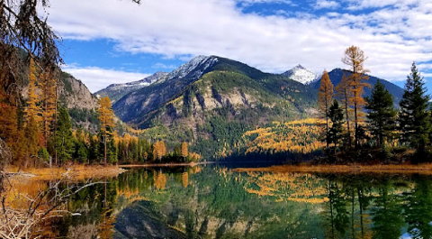 alliance-for-the-wild-rockies_a2-profile-header-1024585