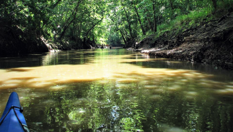 bayou-city-waterkeeper_profile-header_a2-1024581-1