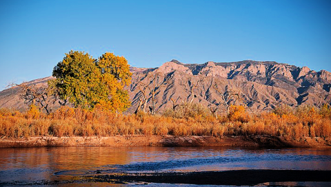 clean-air-for-all-now_profile-header_a2-1024581