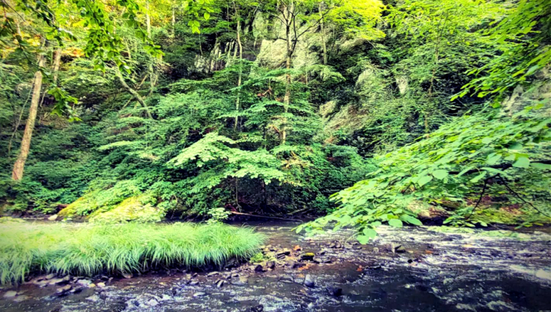 a2-dan-riverkeeper_profile-header-image-1024581