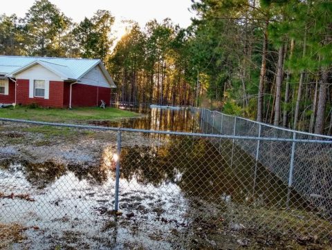 reidsville_ga_003-1-1024772