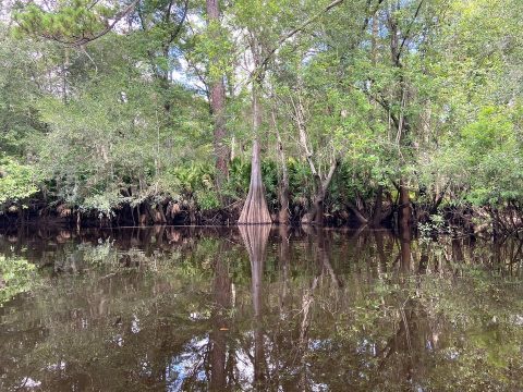 satilla-riverkeeper-fb-header