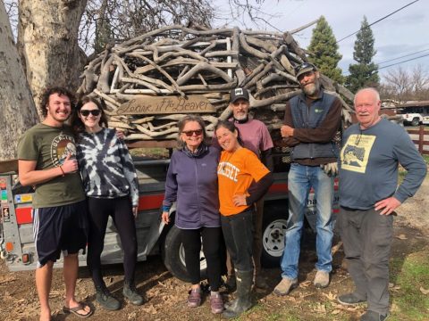 beaverfloatarrival-1024768