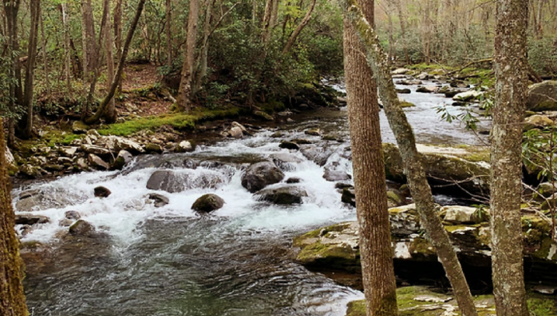 together_for_nature_profile-header_a2-1024581