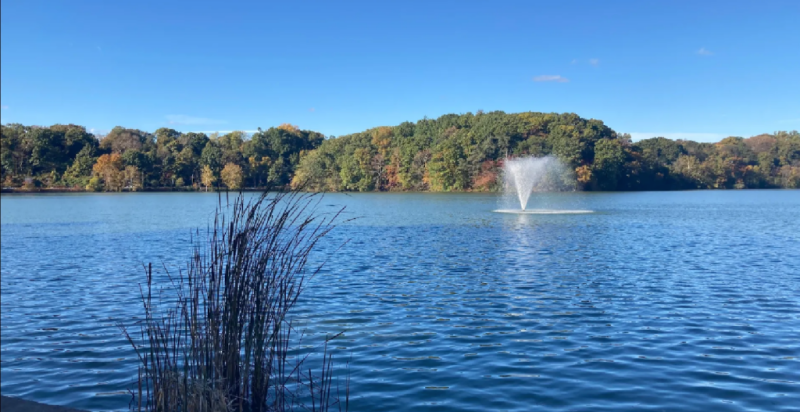 weequahic-park-association_profile-header_a2-1024581-1