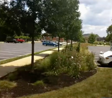 using-nature-to-address-flooding_thumbnail_v2