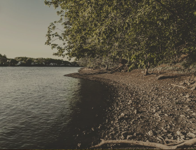 bosque-sagrado-amenazado-en-troy-ny-de-los-amigos-del-mahicantuck-pagina-fb