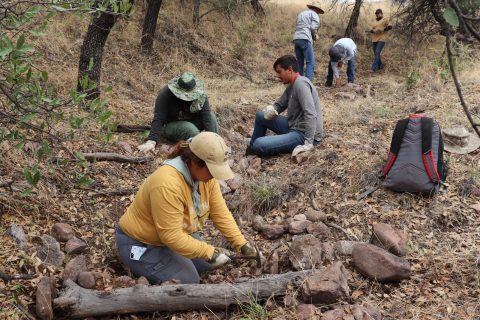 borderlandsrestorationnetwork1