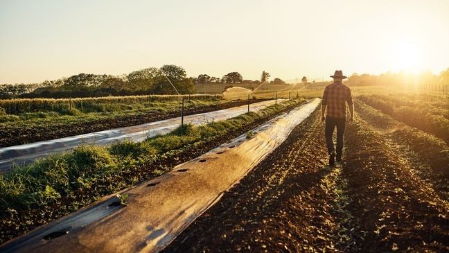 iowafarmersunion1