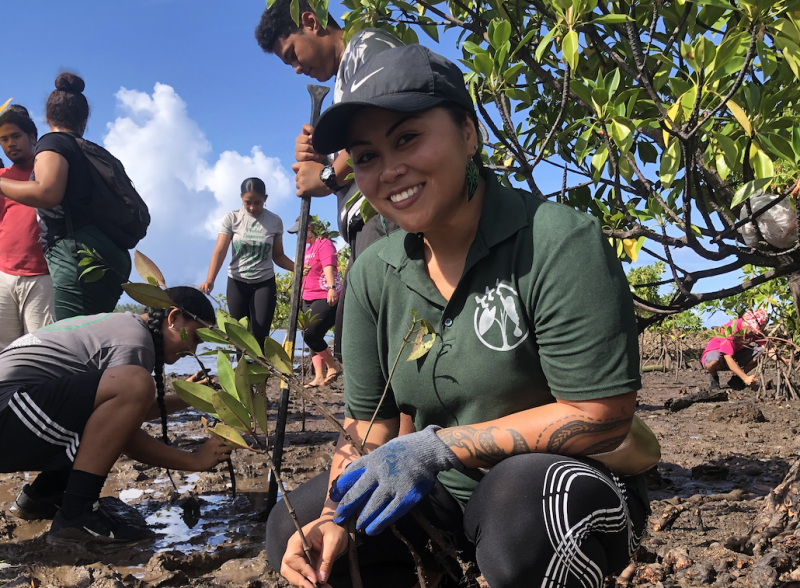 smahuka_mangrove-restauración