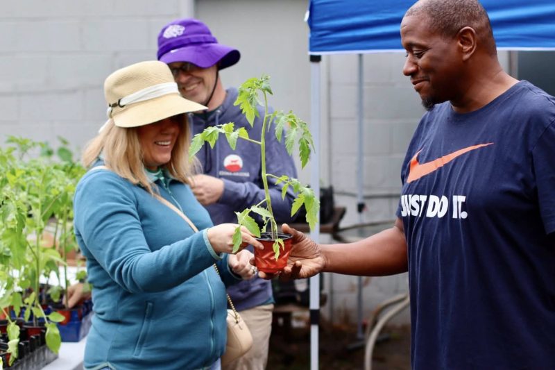 Free starter plants are distributed at the Spring Festival, April 2026. Photo credit: Serenity Urban Wellness