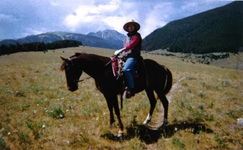 Sara Johnson rides her horse, Morris, along a Forest Service trail in Montana’s Tobacco Root Mountains. This landscape, though scenic, shows the effects of heavy livestock grazing on nearby riparian areas—critical habitat for songbirds. Photo courtesy of Sarah Johnson/NEC.