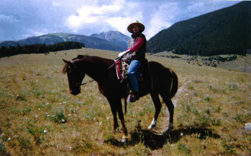 Sara Johnson monta a caballo, junto a su caballo Morris, por un sendero del Servicio Forestal en las montañas Tobacco Root de Montana. Este paisaje, aunque pintoresco, muestra los efectos del pastoreo intensivo del ganado en las zonas ribereñas cercanas, que constituyen un hábitat fundamental para las aves cantoras. Foto cortesía de Sarah Johnson/NEC.