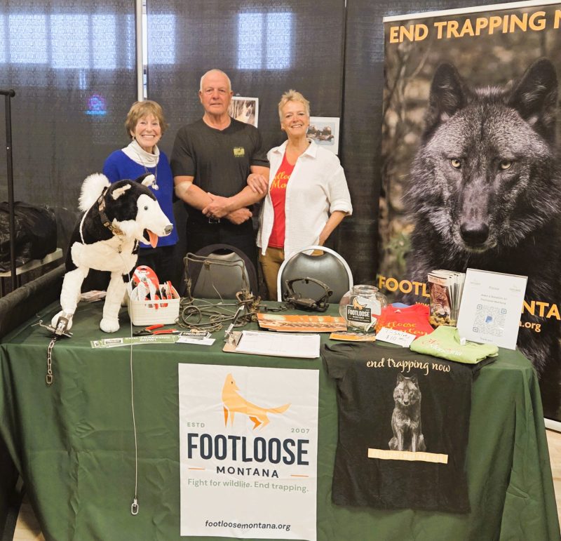 Three people stand at a booth promoting End Trapping Now, with a large wolf banner and Footloose Montana materials visible.