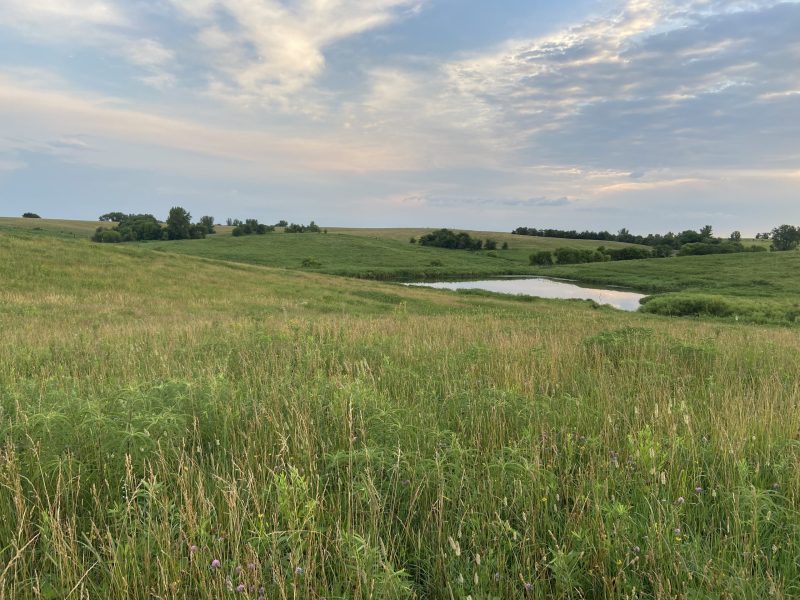 Dunn Ranch Prairie, a preserve of more than 3,000 acres in northwest Missouri, is home to more than 100 species of birds. Photo courtesy of Matt Longabaugh